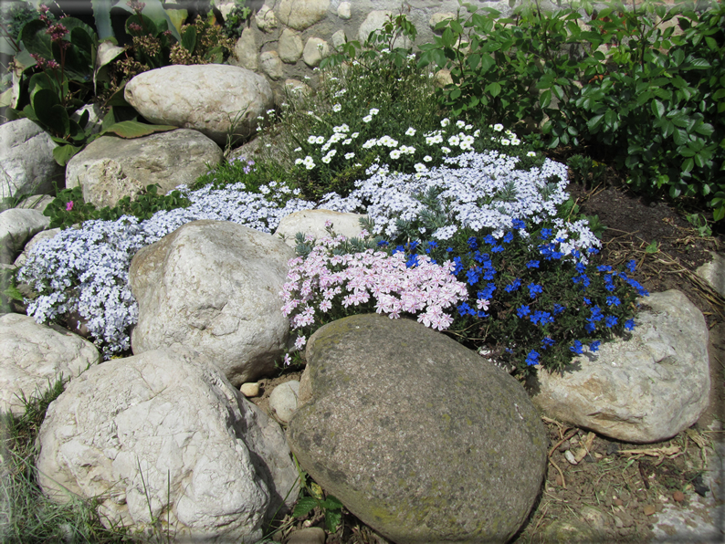 foto Paesaggi Collinari in Primavera